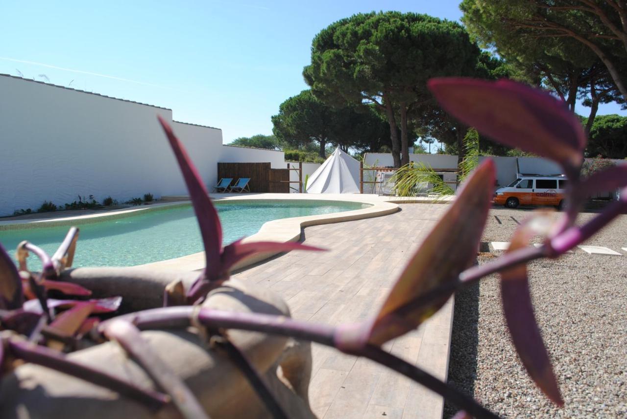 Cadiz - Buda, Acogedor Apartamento En Chiclana De La Frontera, Espana エクステリア 写真