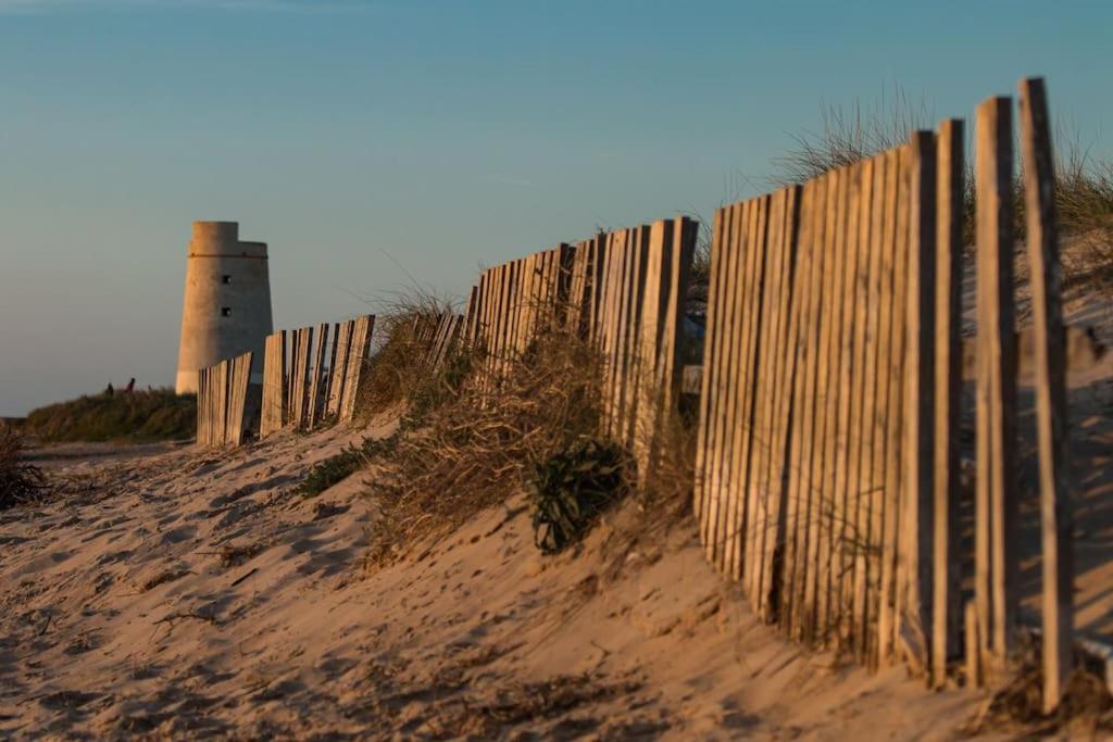 Cadiz - Buda, Acogedor Apartamento En Chiclana De La Frontera, Espana エクステリア 写真